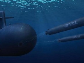 Programa ‘Artémis': início das entregas de torpedos F21 em 2016 torpedo F21 - imagem DCNS via DGA