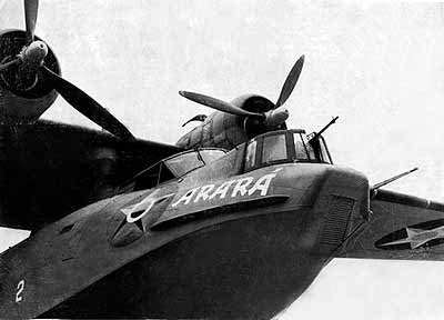 arara-pby_2.jpg