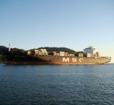 msc-laura-bp-140809-22