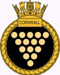 a-cornwall-seal