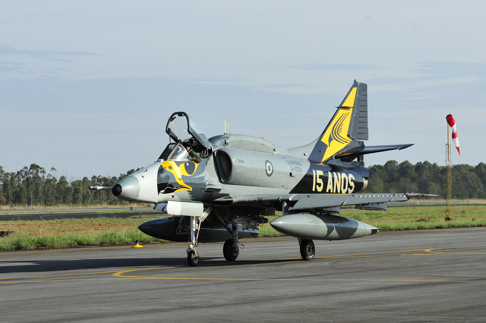 VF-1 15 anos